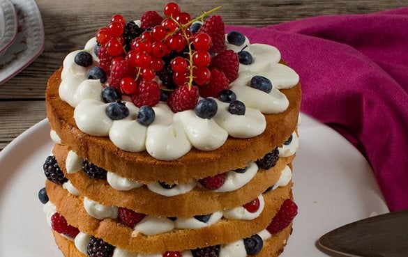 Iglo Topfenkuchen mit Beeren