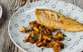 Zander mit Eierschwammerl | iglo