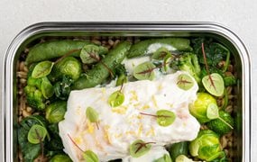 iglo Jausenbox - Omega Power