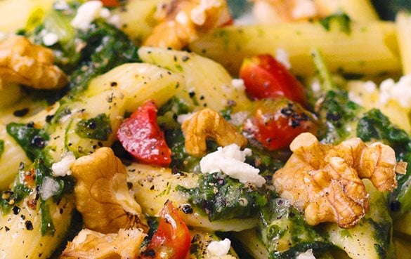  zutaten penne mit schafkse 