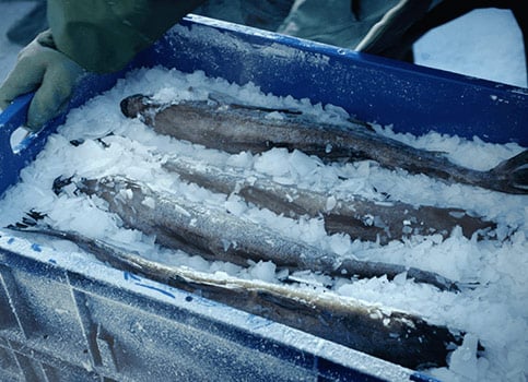 verantwortungsvolles handeln